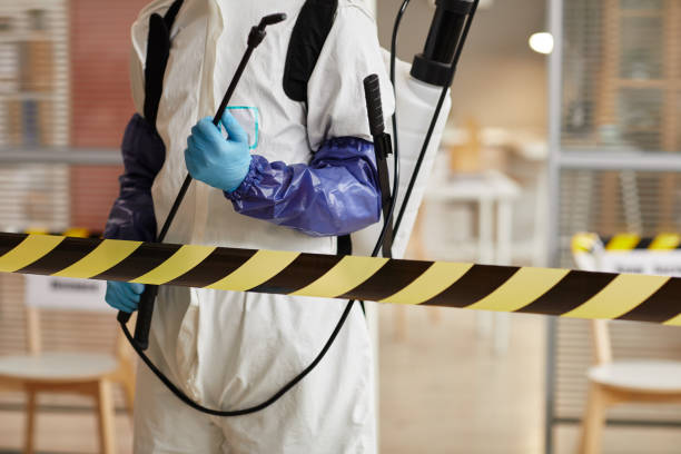 Professional Sewage Cleanup technician working in Hastings, IA